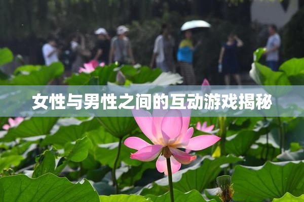女性与男性之间的互动游戏揭秘