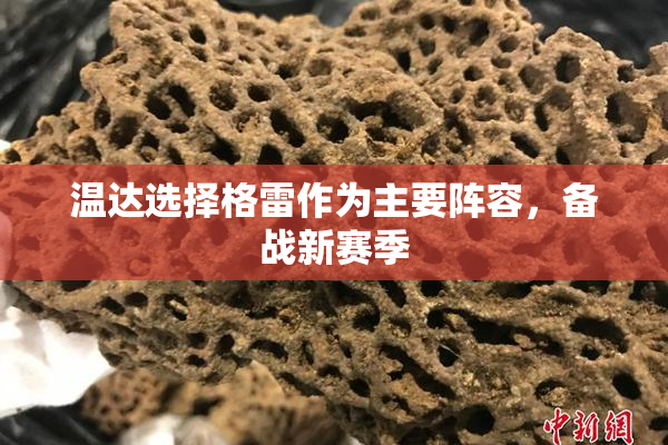 温达选择格雷作为主要阵容，备战新赛季