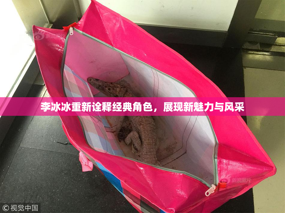 李冰冰重新诠释经典角色，展现新魅力与风采