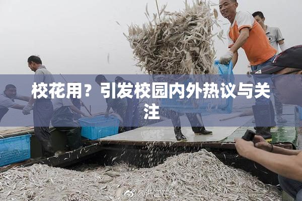 校花用？引发校园内外热议与关注