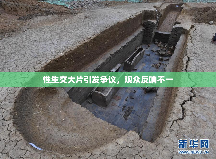 性生交大片引发争议，观众反响不一