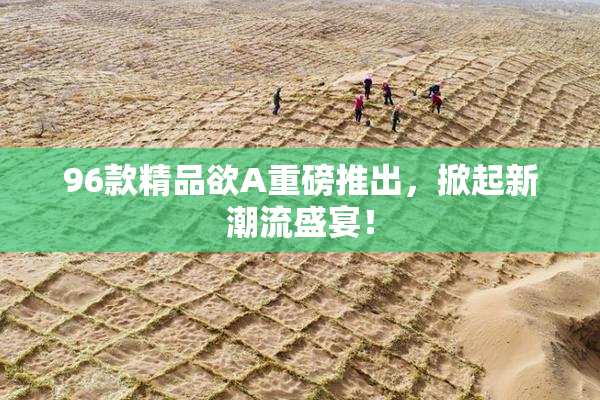 96款精品欲A重磅推出，掀起新潮流盛宴！