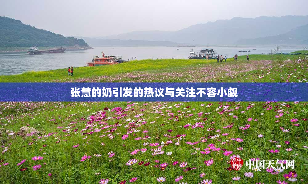 张慧的奶引发的热议与关注不容小觑