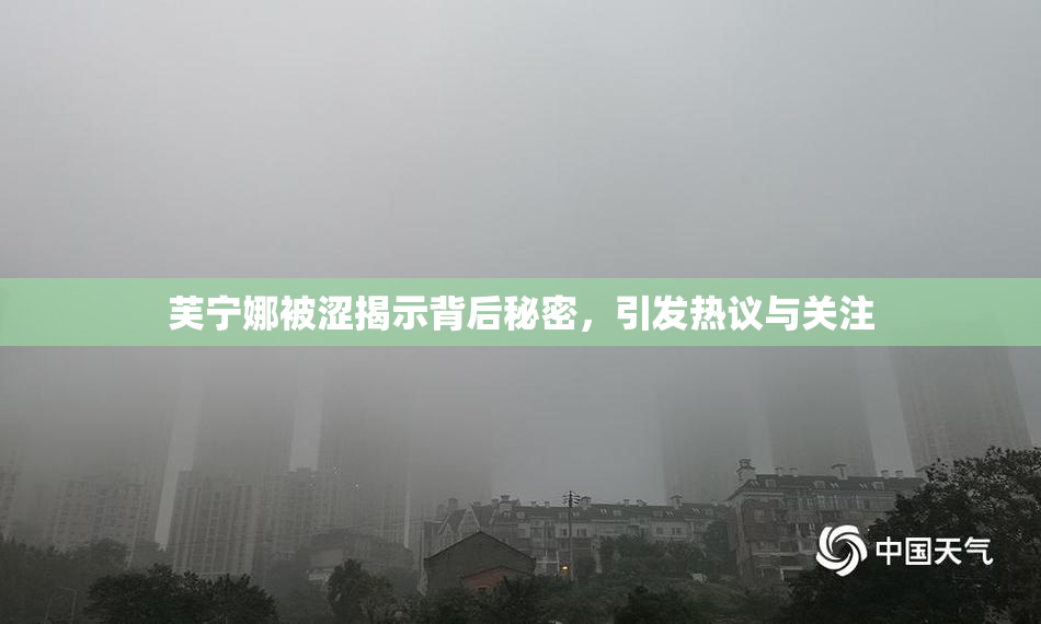 芙宁娜被涩揭示背后秘密，引发热议与关注