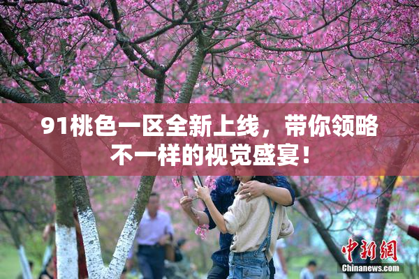 91桃色一区全新上线，带你领略不一样的视觉盛宴！