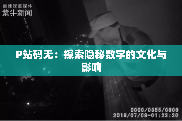P站码无：探索隐秘数字的文化与影响