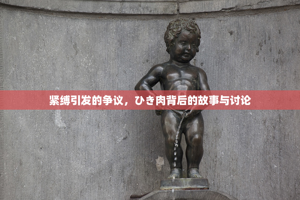 紧缚引发的争议，ひき肉背后的故事与讨论