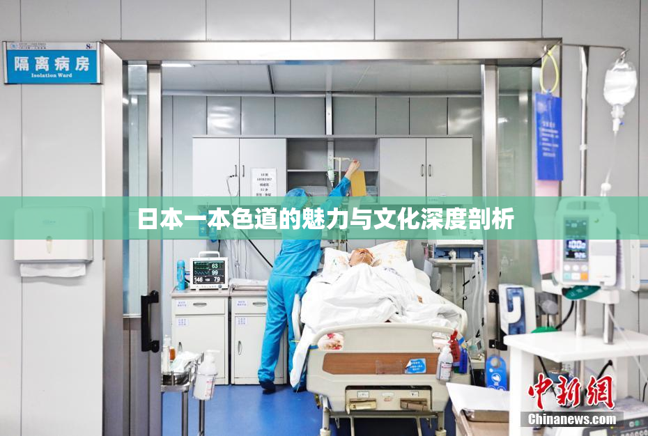 日本一本色道的魅力与文化深度剖析
