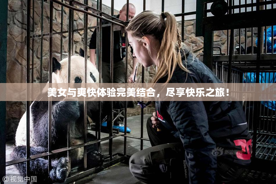 美女与爽快体验完美结合，尽享快乐之旅！