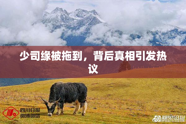 少司缘被拖到，背后真相引发热议