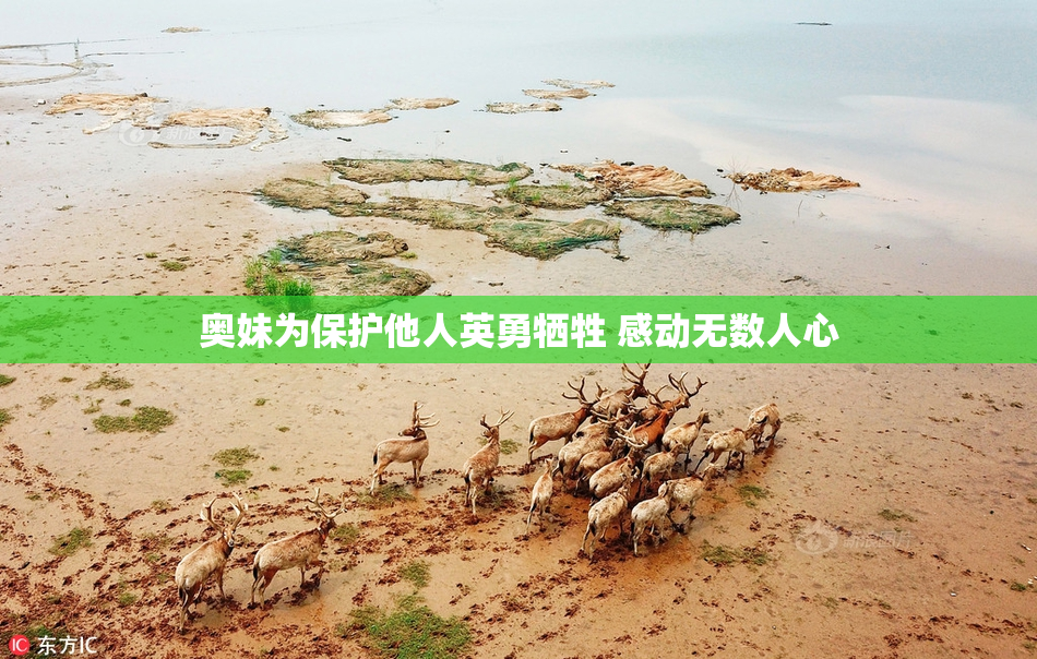 奥妹为保护他人英勇牺牲 感动无数人心