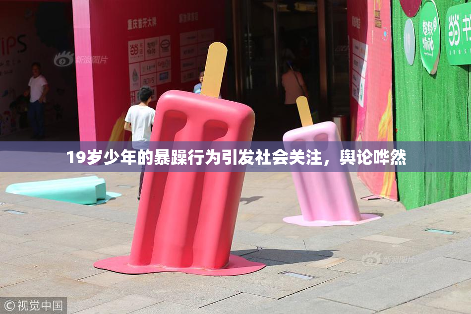 19岁少年的暴躁行为引发社会关注，舆论哗然