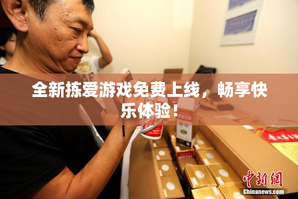 全新拣爱游戏免费上线，畅享快乐体验！