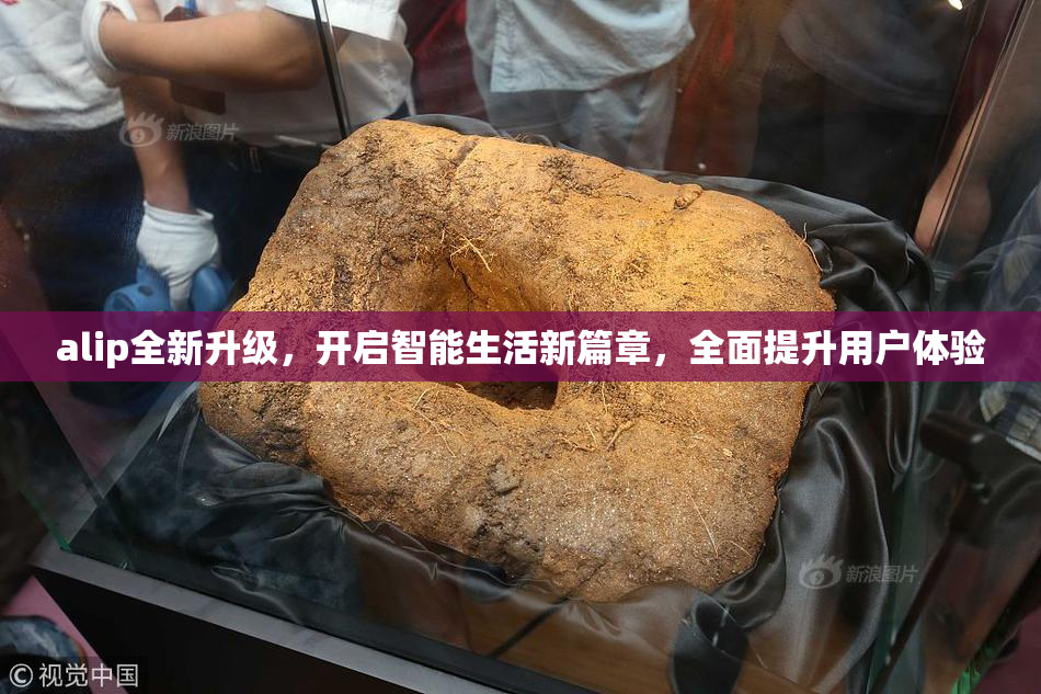 alip全新升级，开启智能生活新篇章，全面提升用户体验