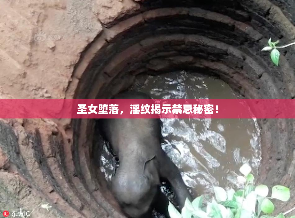 圣女堕落，淫纹揭示禁忌秘密！