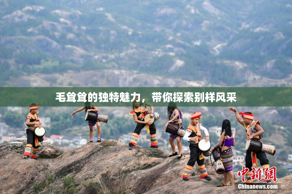 毛耸耸的独特魅力，带你探索别样风采