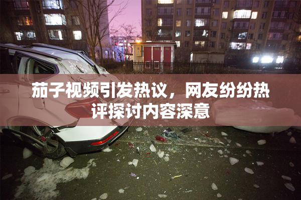 茄子视频引发热议，网友纷纷热评探讨内容深意