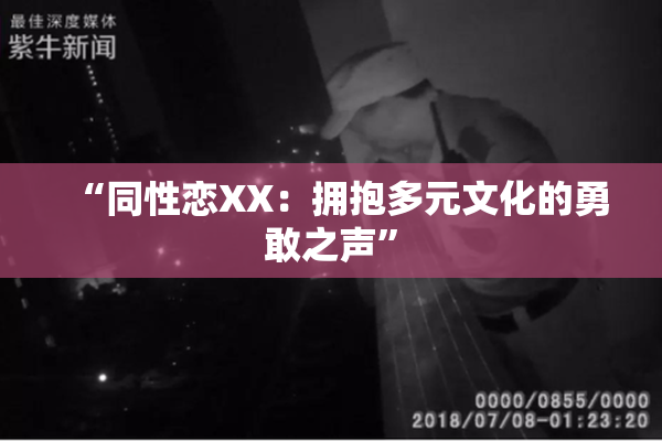 “同性恋XX：拥抱多元文化的勇敢之声”