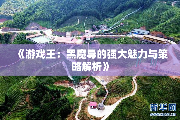《游戏王：黑魔导的强大魅力与策略解析》