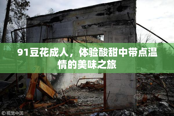 91豆花成人，体验酸甜中带点温情的美味之旅