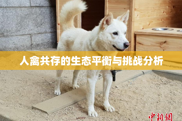 人禽共存的生态平衡与挑战分析
