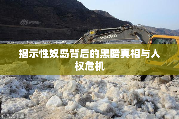 揭示性奴岛背后的黑暗真相与人权危机