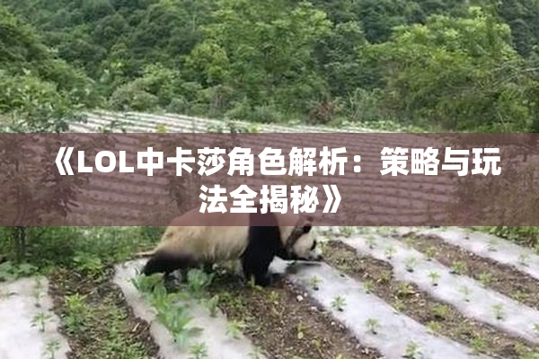 《LOL中卡莎角色解析：策略与玩法全揭秘》