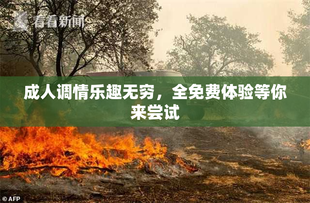 成人调情乐趣无穷，全免费体验等你来尝试