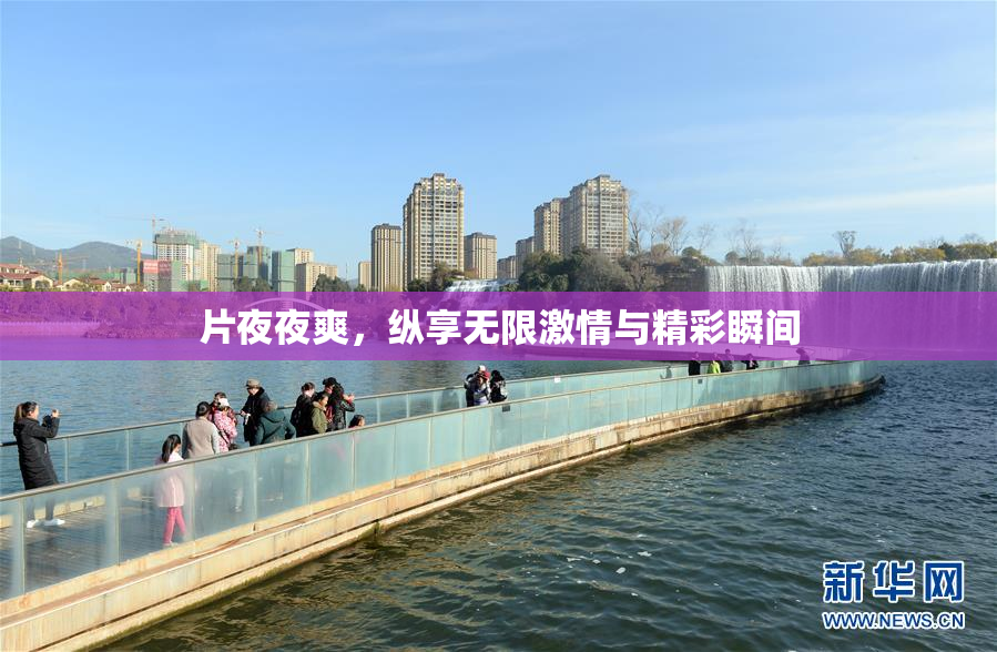 片夜夜爽，纵享无限激情与精彩瞬间