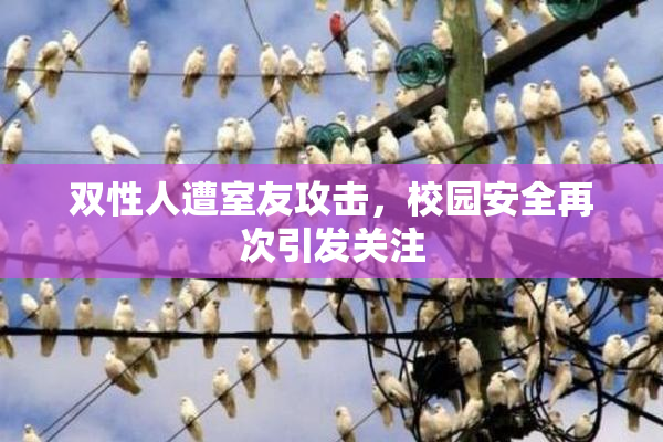 双性人遭室友攻击，校园安全再次引发关注