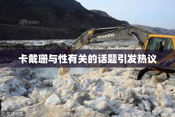 卡戴珊与性有关的话题引发热议