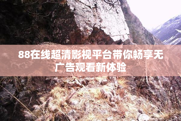 88在线超清影视平台带你畅享无广告观看新体验