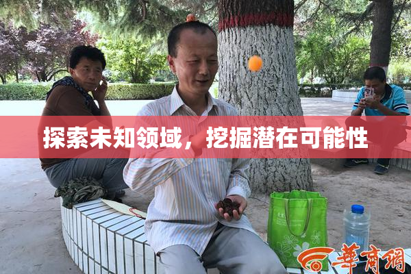 探索未知领域，挖掘潜在可能性