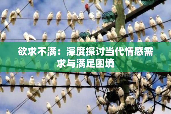 欲求不满：深度探讨当代情感需求与满足困境