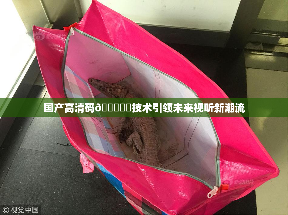国产高清码🔞❌‌技术引领未来视听新潮流