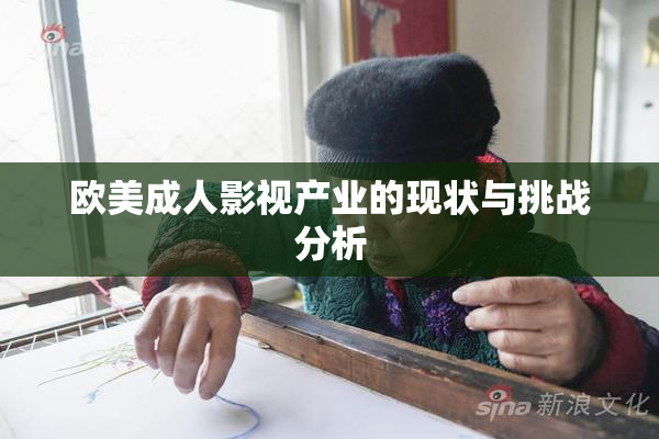 欧美成人影视产业的现状与挑战分析