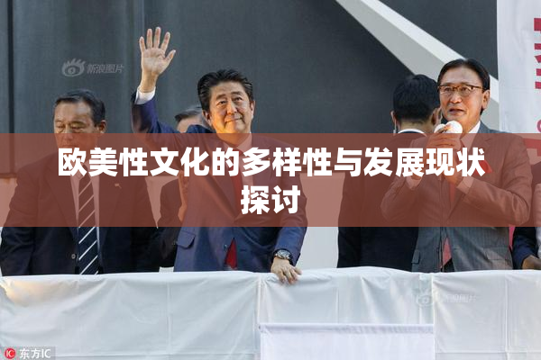 欧美性文化的多样性与发展现状探讨