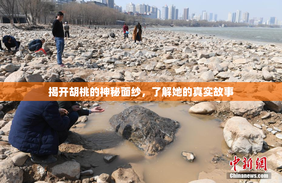 揭开胡桃的神秘面纱，了解她的真实故事