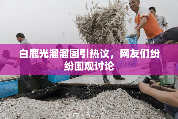 白鹿光溜溜图引热议，网友们纷纷围观讨论