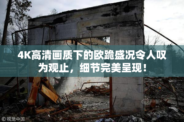 4K高清画质下的欧跪盛况令人叹为观止，细节完美呈现！