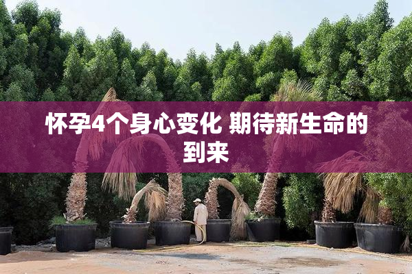 怀孕4个身心变化 期待新生命的到来