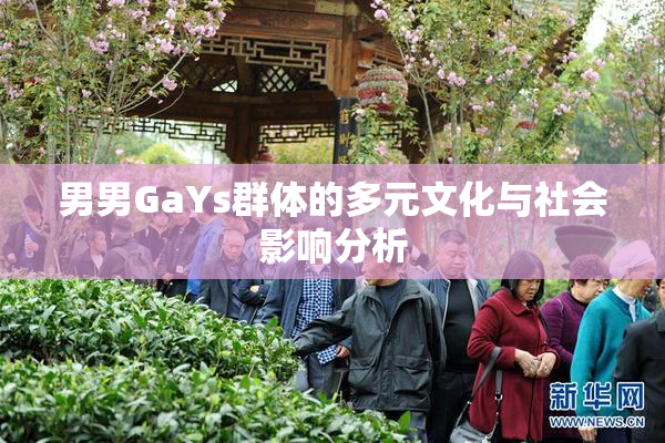 男男GaYs群体的多元文化与社会影响分析