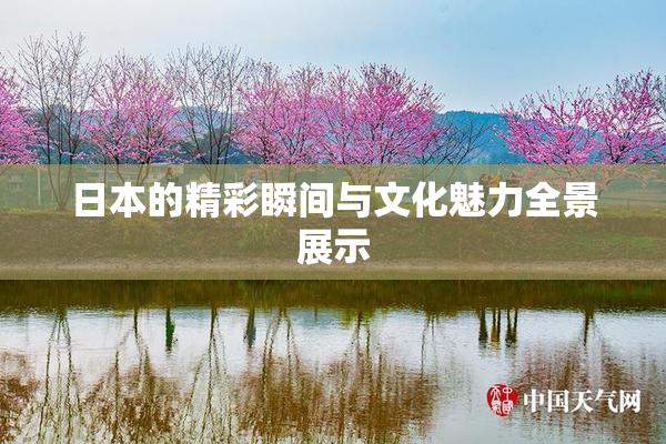 日本的精彩瞬间与文化魅力全景展示