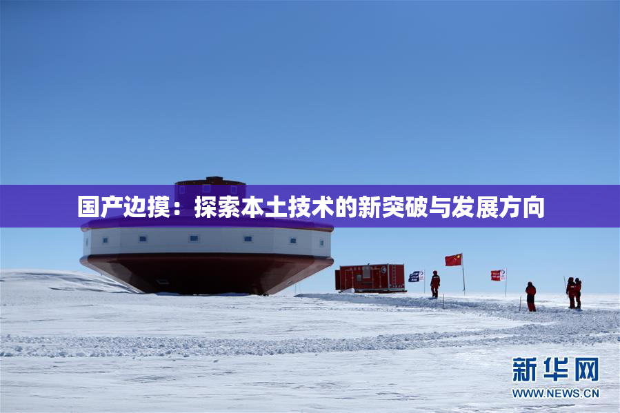 国产边摸：探索本土技术的新突破与发展方向