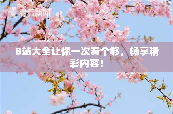 B站大全让你一次看个够，畅享精彩内容！