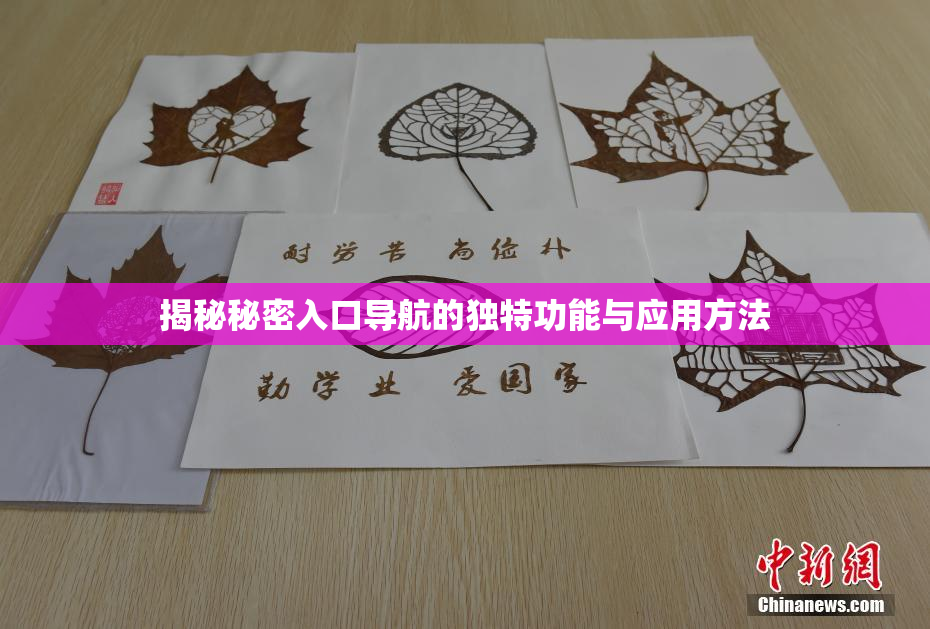 揭秘秘密入口导航的独特功能与应用方法