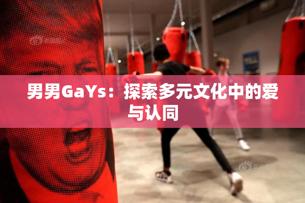 男男GaYs：探索多元文化中的爱与认同
