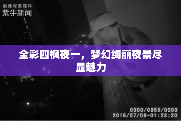 全彩四枫夜一，梦幻绚丽夜景尽显魅力