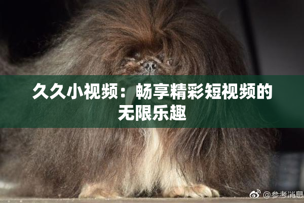久久小视频：畅享精彩短视频的无限乐趣