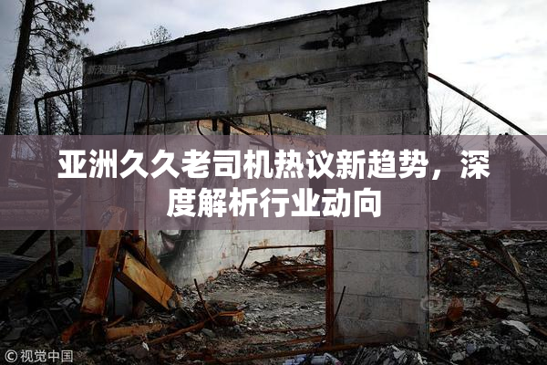 亚洲久久老司机热议新趋势，深度解析行业动向